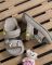 Детские кроксы Nice grey ПП7778