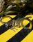 Стальні наручники Vurgun 3020 ПП7559